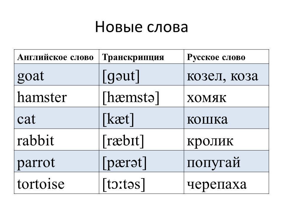 Фото На Английском Языке Произношение