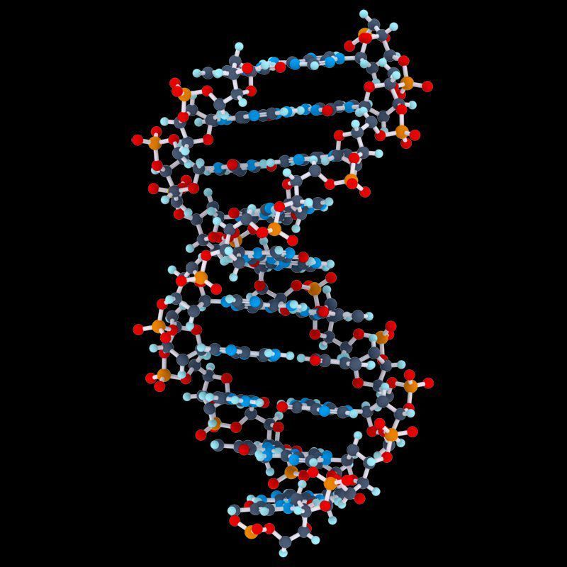 Какая молекула днк в ядре. Дезоксирибонуклеиновая кислота ДНК. Молекула дезоксирибонуклеиновой кислоты. Структура молекулы ДНК. Строение молекулы ДНК.