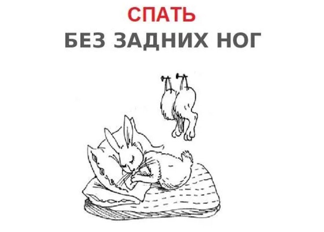 Сплю без задних ног картинки