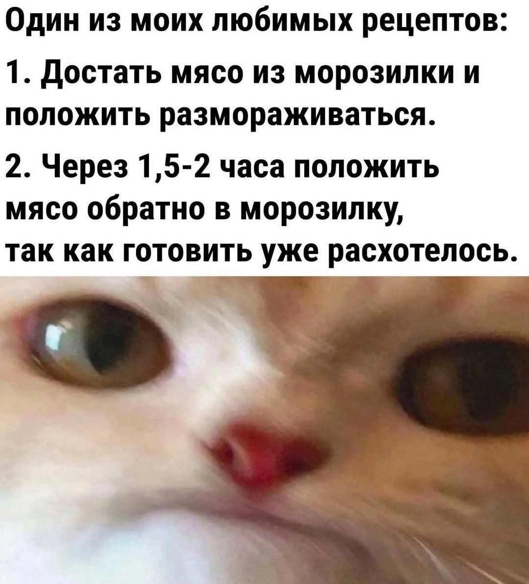 Я знаю много классных рецептов и люблю готовить... Так же я: